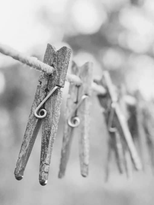 Diaper Service Monkey Butt Cloth Diaper Service